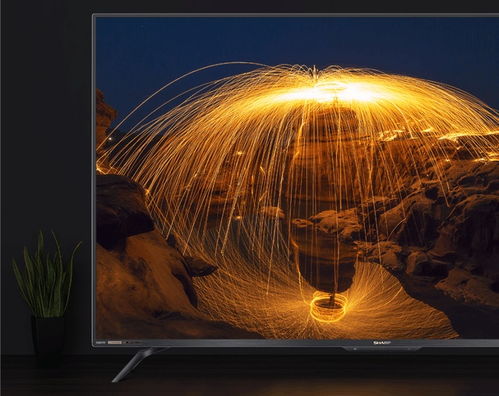 夏普旷视系列电视 万千画面华彩，尽在AI煌彩行云旷视